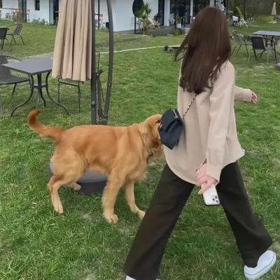抗癌之路